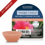 Ceara Parfumata Tropical Breeze, Yankee Candle